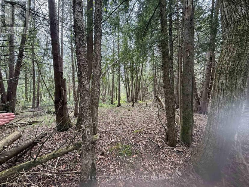 00 Kenyon Road, North Glengarry, photo 4