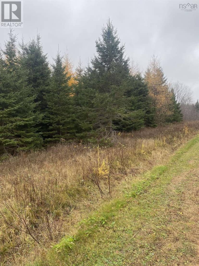 LOT 6 New Cheverie Road — photo 2 of 4