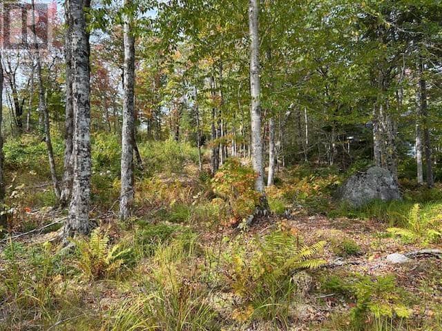 Lot 4 Lakeshore Drive, New Russell, photo 6