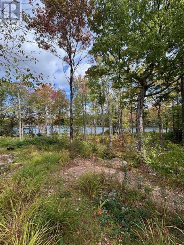 Lot 3 Lakeshore Drive — photo 11 of 12