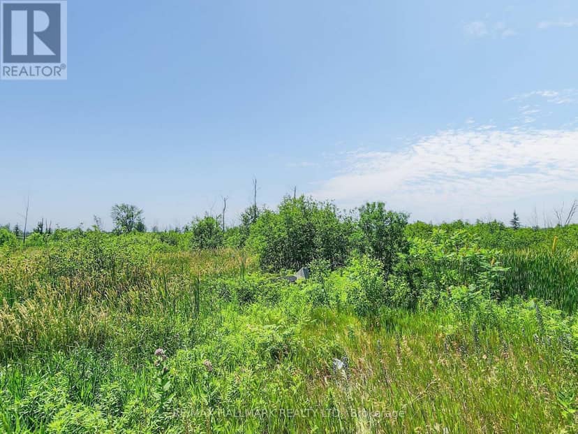 20200 Highway 48, East Gwillimbury, photo 2