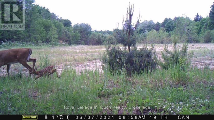 594 County Road 6 Road N — photo 7 of 11