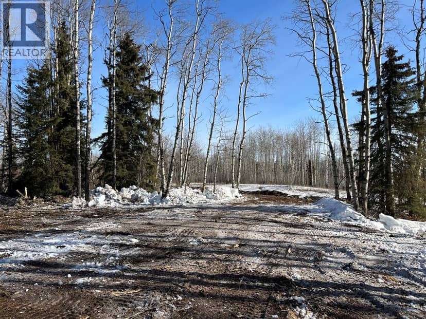 SE-27-79-9-W6 92 Range Road — photo 24 of 33