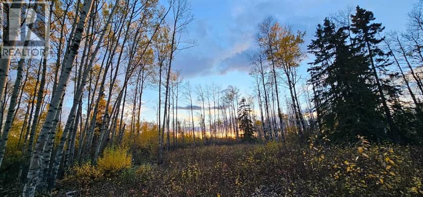SE-27-79-9-W6 92 Range Road, Rural Saddle Hills County, photo 2