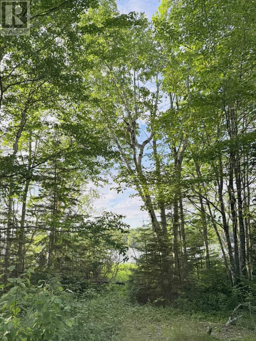 5 Acres Floating Bridge Road, RTE 202 — photo 12 of 26
