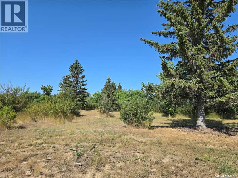 125 Dawn LANE, Diefenbaker Lake, photo 3