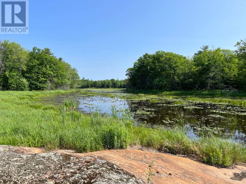243 Prisque Road, Georgian Bay, photo 7