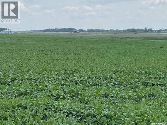 Ferguson land, Moosomin Rm No. 121