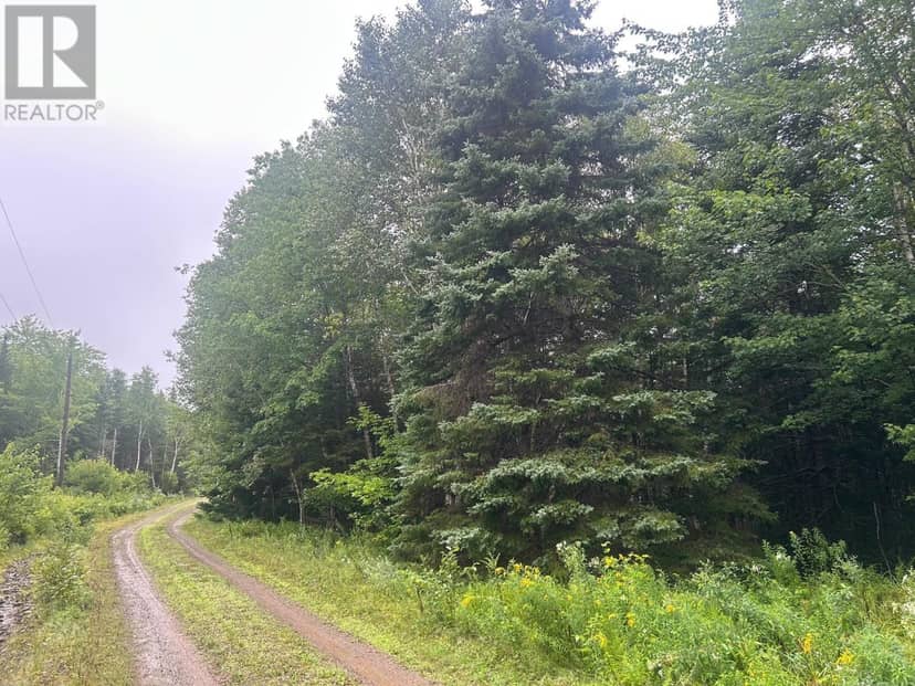 Lot 8 No 7 Highway, Aspen, photo 4