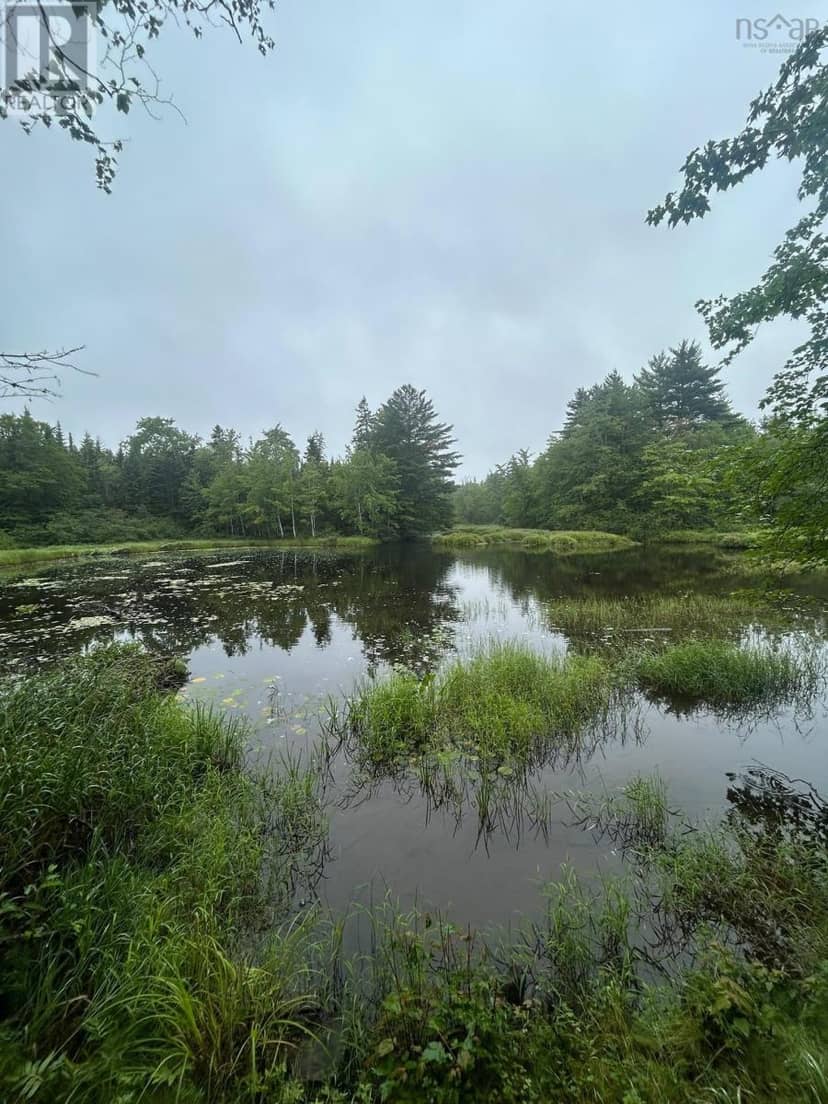 Lot 8 No 7 Highway — photo 9 of 11