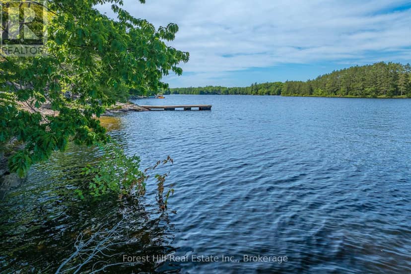 18 Hawkins Point Road, Georgian Bay, photo 4