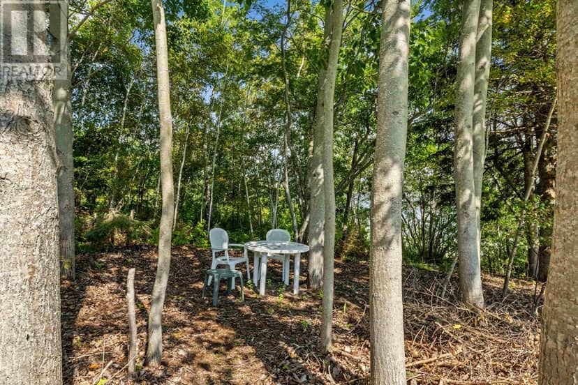 6664 Rustico Road — photo 33 of 40