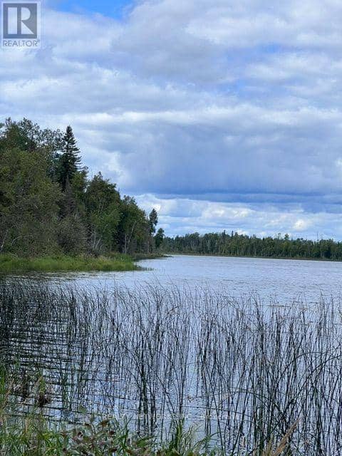 Lot 23 Concession 11 Road, Cochrane, photo 5