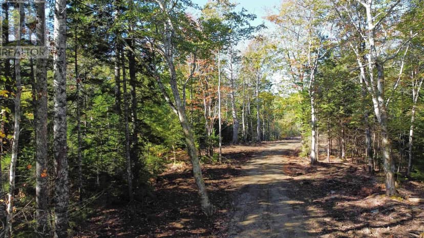 Lot Highway 308 — photo 10 of 10
