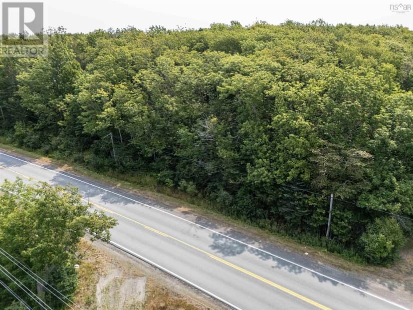 Lot Highway 101 — photo 11 of 13