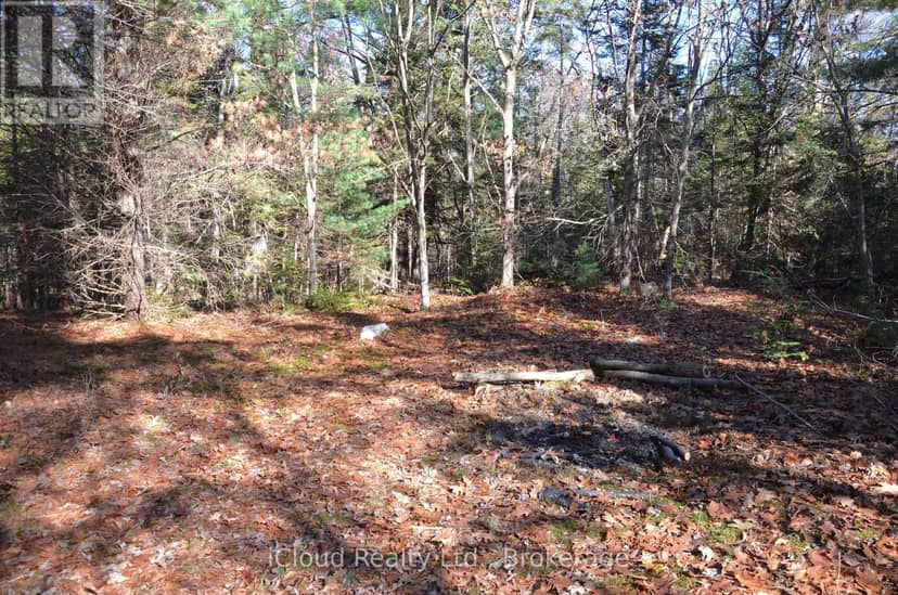3 Parker Bay Road, Whitestone, photo 4
