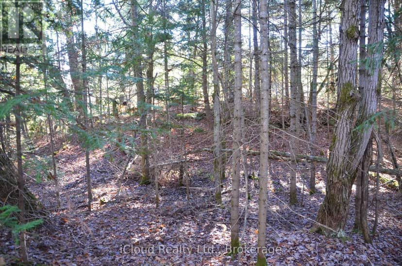 2 Parker Bay Road — photo 11 of 35