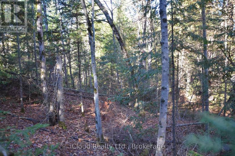 2 Parker Bay Road — photo 12 of 35
