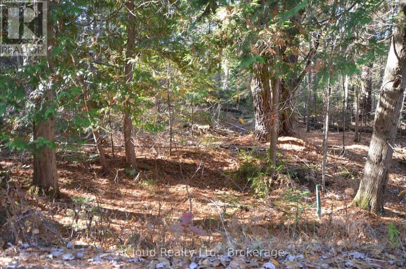 2 Parker Bay Road — photo 13 of 35