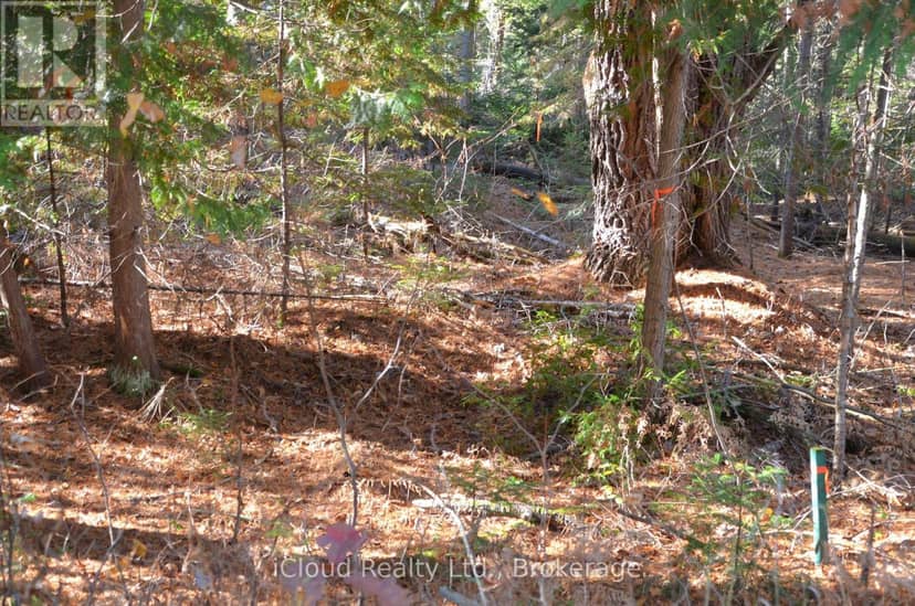 2 Parker Bay Road — photo 14 of 35