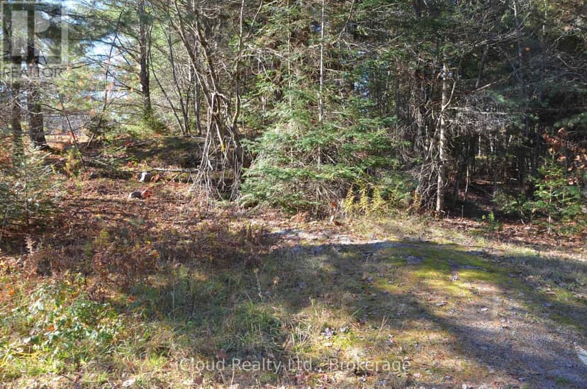 2 Parker Bay Road — photo 15 of 35