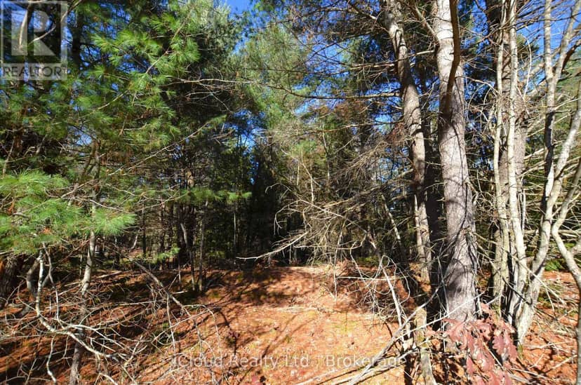 2 Parker Bay Road — photo 7 of 35