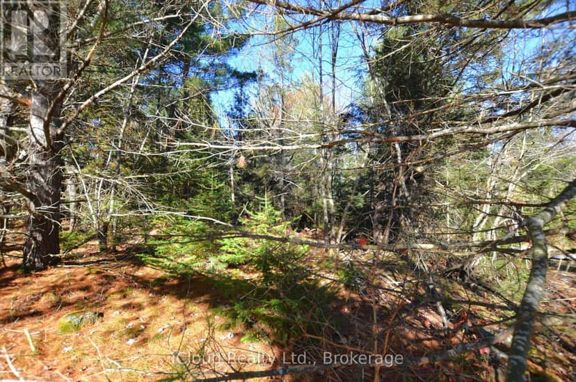 2 And 3 Parker Bay Road — photo 5 of 40