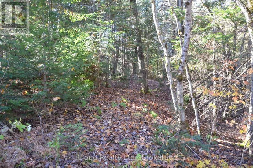2 And 3 Parker Bay Road — photo 9 of 40