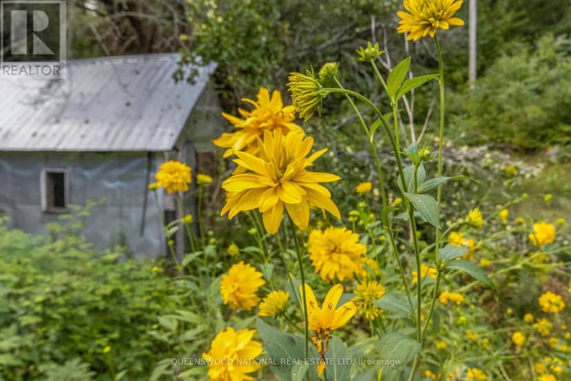 10A McMaster Lake Lane — photo 20 of 40