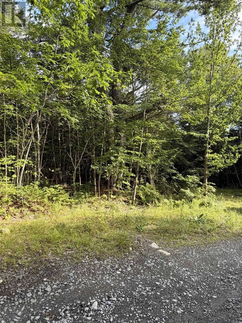 LOT North Uniacke Lake Road, Mount Uniacke, photo 4