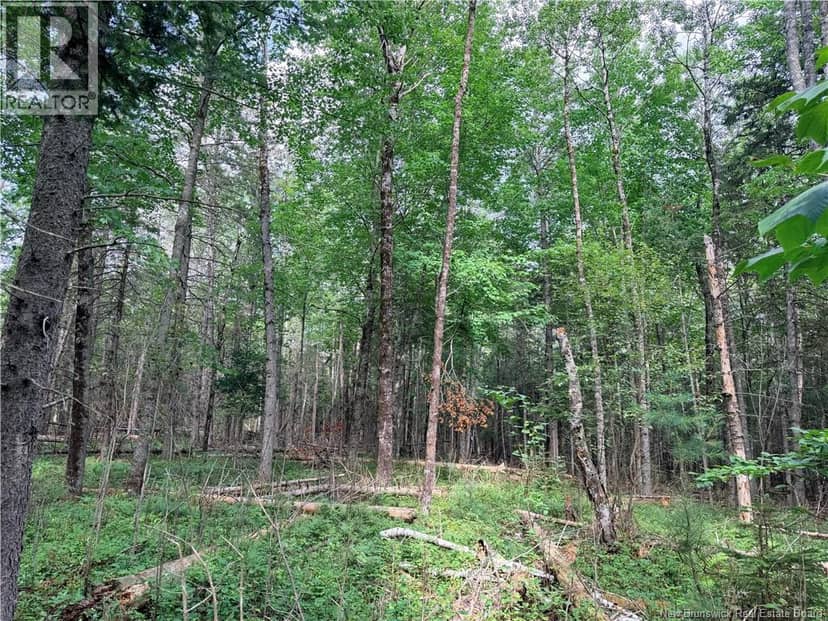 Plumweseep Road, Plumweseep, photo 3