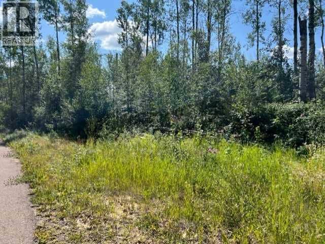146 Poplar Drive Rr, Conklin, photo 5