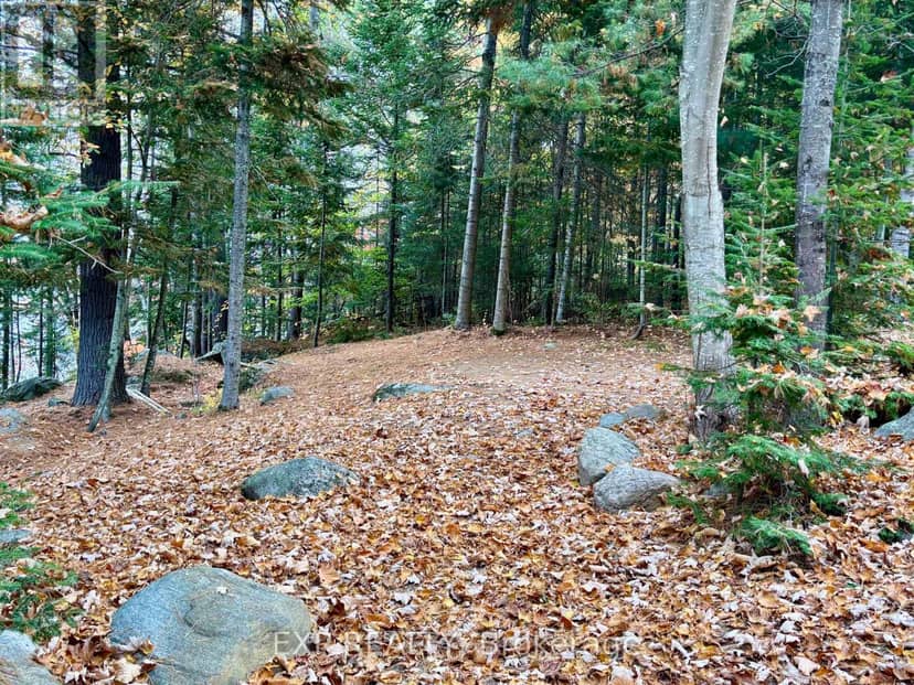 134 Carson Heights Road, Madawaska Valley, photo 6