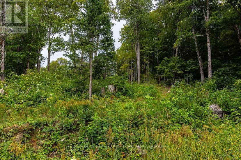 F - 790 Garage Road, Armour, photo 7