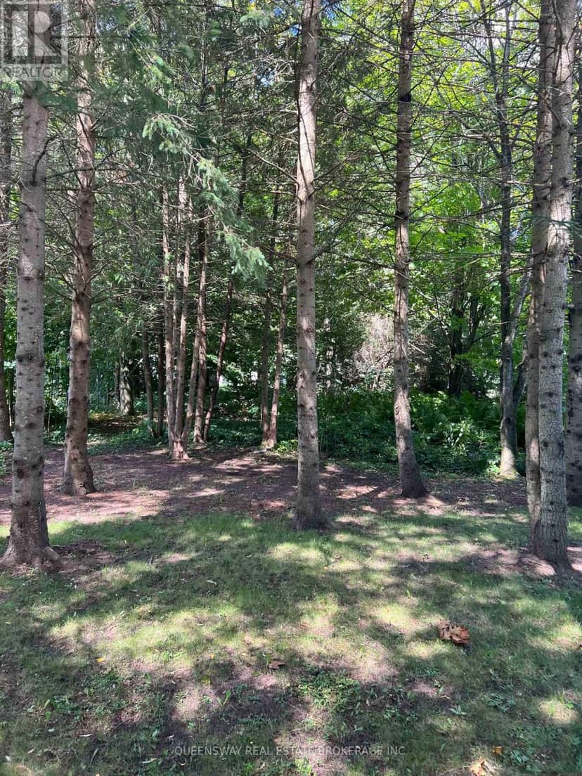 10 Mill Street W, Springwater, photo 3