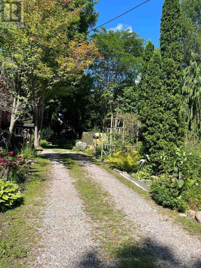 10 Mill Street W, Springwater, photo 4
