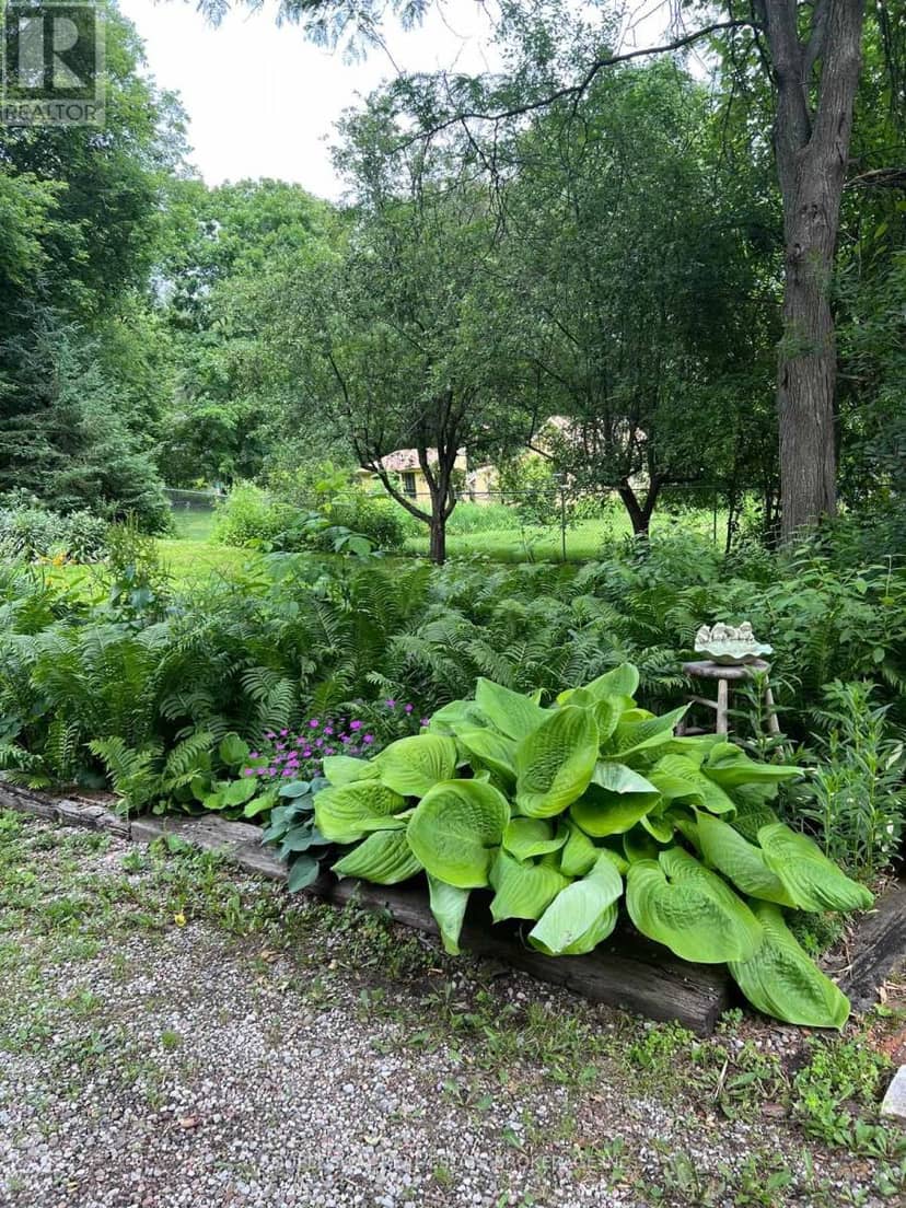 10 Mill Street W, Springwater, photo 7