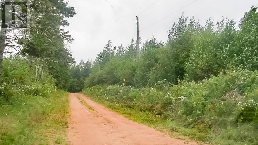 Bruce Point Road, Launching, photo 5