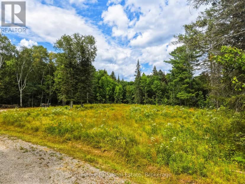 106 Golf Course Road, Magnetawan, photo 8
