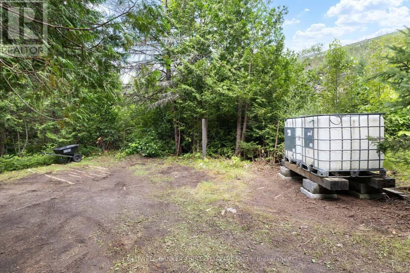 24163 Highway 7 Highway — photo 36 of 40