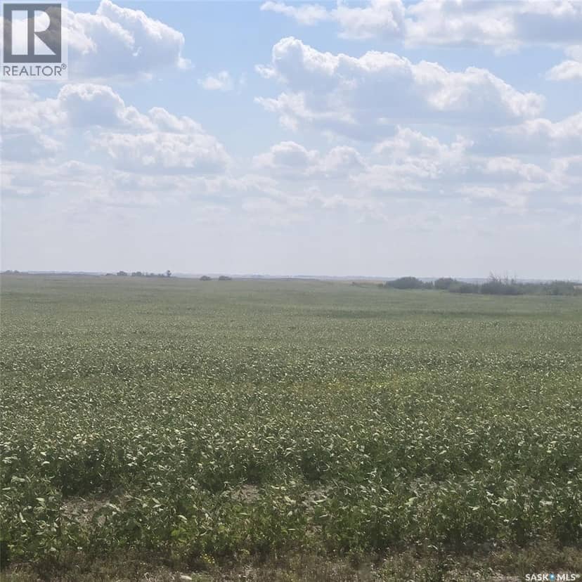RM220 - Erhardt Shop & Farmland, Last Mountain Lake