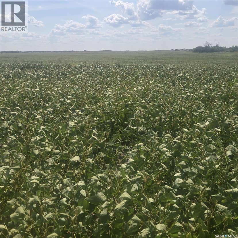 RM220 - Erhardt Shop & Farmland, Last Mountain Lake, photo 2