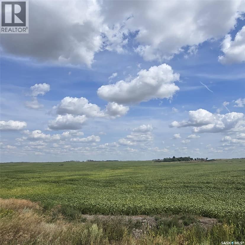 RM220 - Erhardt Shop & Farmland, Last Mountain Lake, photo 3