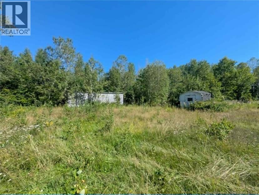 5569 Route 134, Allardville, photo 4