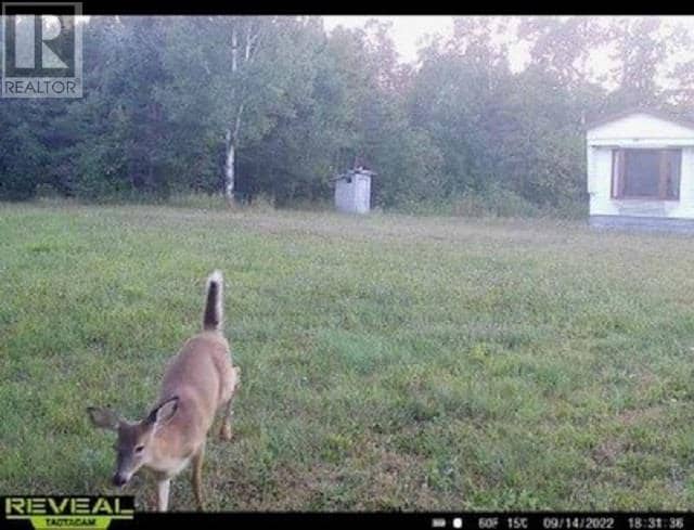9 Poplar Dale RD — photo 9 of 10