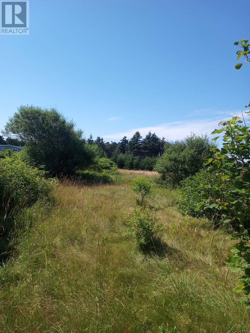 41A Main Street, Stephenville Crossing, photo 3