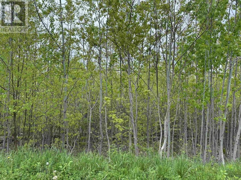 Lot 19 Acres+- Wallace Road — photo 10 of 20