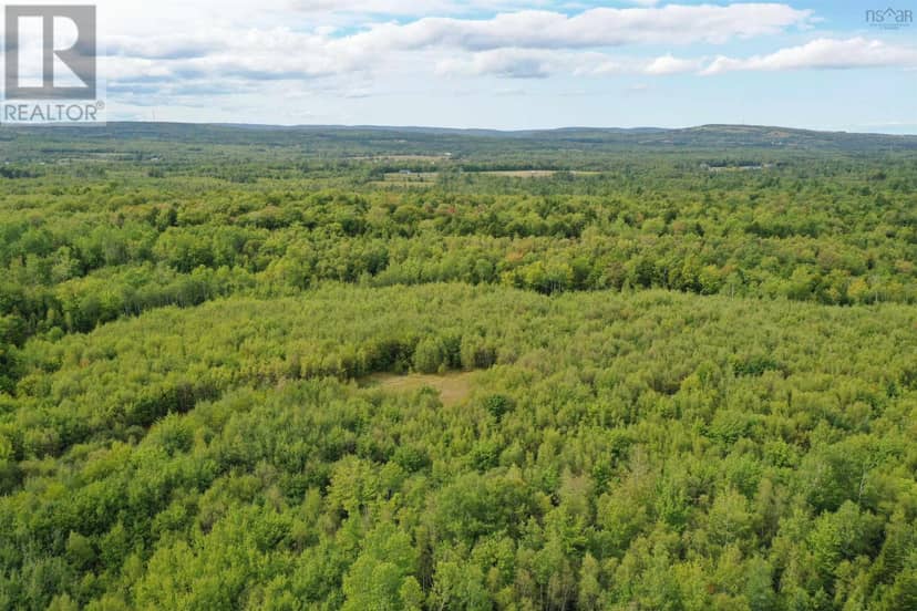 Lot 19 Acres+- Wallace Road — photo 16 of 20