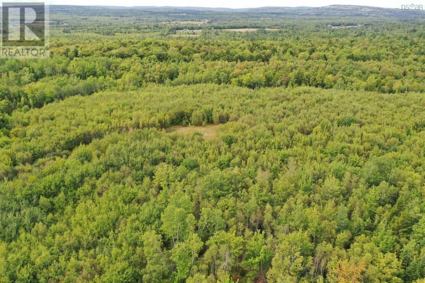 Lot 19 Acres+- Wallace Road — photo 14 of 20