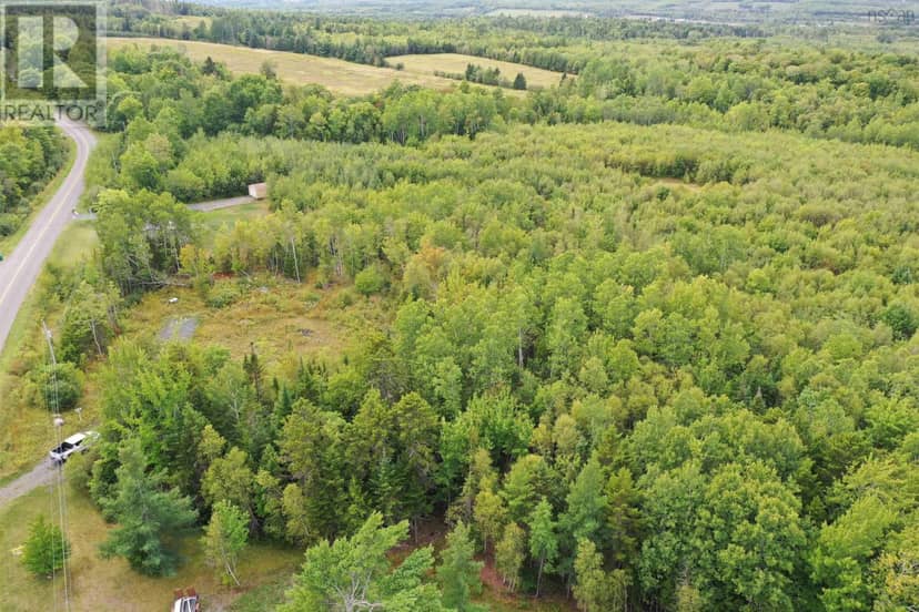 Lot 19 Acres+- Wallace Road — photo 4 of 20